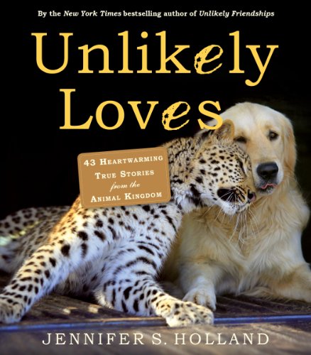 Unlikely Loves 43 Heartwarming True Stories From The Animal Kingdom Jennifer S Holland