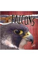 Falcons Julie K Lundgren