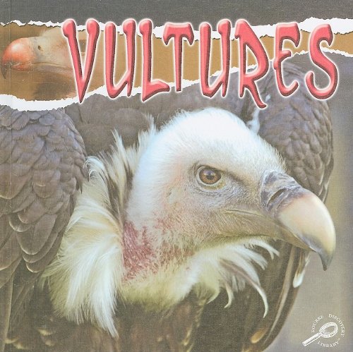 Vultures Julie K Lundgren