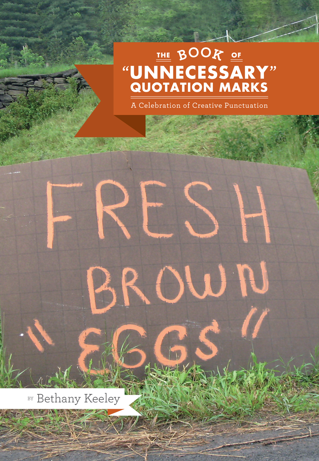 The Book Of Unnecessary Quotation Marks A Celebration Of Creative Punctuation 1st Edition Bethany Keeley
