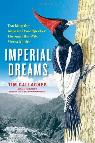 Imperial Dreams Tracking The Imperial Woodpecker Through The Wild Sierra Madre First Edition Tim Gallagher