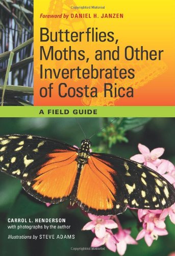Butterflies Moths And Other Invertebrates Of Costa Rica A Field Guide Carrol L Henderson