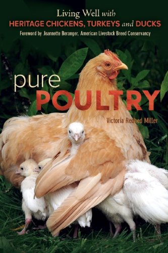 Pure Poultry Living Well With Heritage Chickens Turkeys And Ducks Victoria Redhed Miller