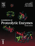 Handbook Of Proteolytic Enzymes Aspartic And Metallo Peptidases Alan J Barrett