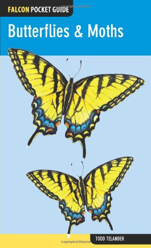 Falcon Pocket Guide Butterflies Moths Todd Telander