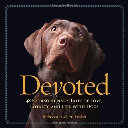 Devoted 38 Extraordinary Tales Of Love Loyalty And Life With Dogs Rebecca Ascherwalsh
