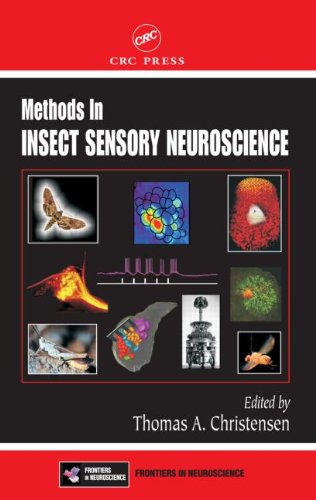 Methods In Insect Sensory Neuroscience 1st Edition Thomas A Christensen