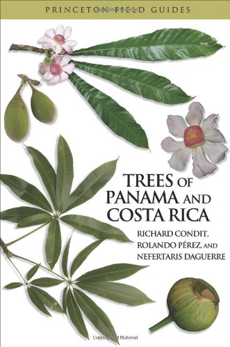 Trees Of Panama And Costa Rica Richard Condit Rolando Prez