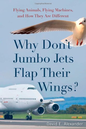 Why Dont Jumbo Jets Flap Their Wings Flying Animals Flying Machines And How They Are Different Professor David Alexander