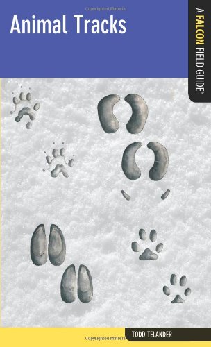 Animal Tracks Todd Telander