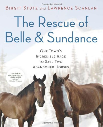 The Rescue Of Belle And Sundance One Towns Incredible Race To Save Two Abandoned Horses Birgit Stutz