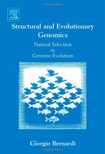 Structural And Evolutionary Genomics Volume 37 Natural Selection In Genome Evolution 1st Edition Giorgio Bernardi