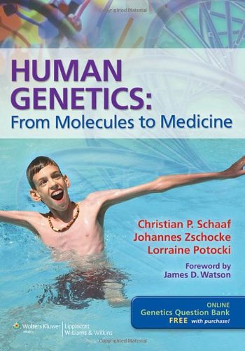 Human Genetics From Molecules To Medicine 1 Pappsc Christian Patrick
