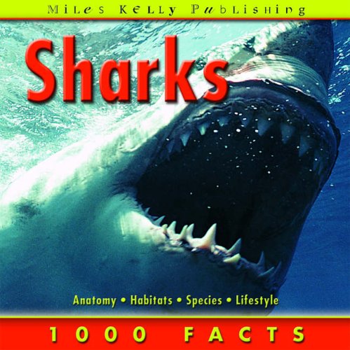Sharks Anna Claybourne Belinda Gallagher