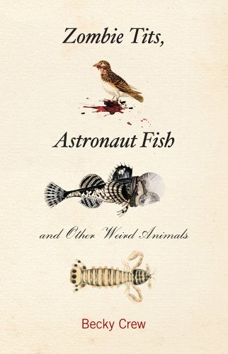 Zombie Tits Astronaut Fish And Other Weird Animals Becky Crew