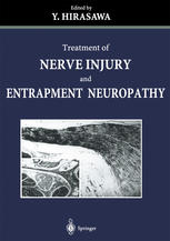 Treatment Of Nerve Injury And Entrapment Neuropathy 1st Edition Yasusuke Hirasawa Md