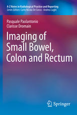 Imaging Of Small Bowel Colon And Rectum 1st Edition Pasquale Paolantonio
