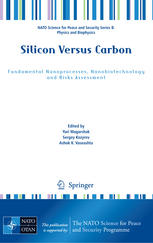 Silicon Versus Carbon Fundamental Nanoprocesses Nanobiotechnology And Risks Assessment 1st Edition L Gribov