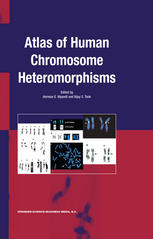Atlas Of Human Chromosome Heteromorphisms 1st Edition Herman E Wyandt Auth