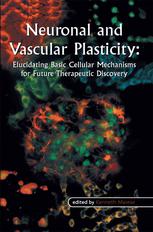 Neuronal And Vascular Plasticity Elucidating Basic Cellular Mechanisms For Future Therapeutic Discovery 1st Edition Kenneth Maiese