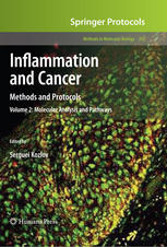 Inflammation And Cancer Methods And Protocols Volume 2 Molecular Analysis And Pathways 1st Edition Yusuke Hiraku