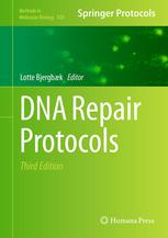 Dna Repair Protocols 3rd Edition Vilhelm A Bohr Auth Lotte Bjergbk Eds