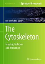 The Cytoskeleton Imaging Isolation And Interaction 1st Edition Carsten Theiss