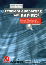 Efficient Ereporting With Sap Ec Strategic Direction And Implementation Guidelines 1st Edition Andreas H Schuler