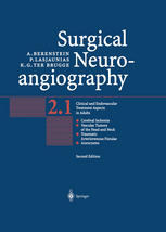 Surgical Neuroangiography Vol 2 Clinical And Endovascular Treatment Aspects In Adults 2nd Edition Alejandro Berenstein Md