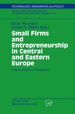 Small Firms And Entrepreneurship In Central And Eastern Europe A Socioeconomic Perspective 1st Edition Oliver Pfirrmann