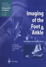 Imaging Of The Foot Ankle Techniques And Applications 1st Edition A Gentili Md