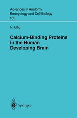 Calciumbinding Proteins In The Human Developing Brain 1st Edition N Ulfig Auth