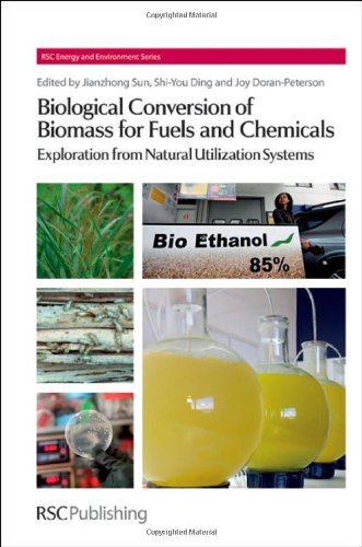 Biological Conversion Of Biomass For Fuels And Chemicals Explorations From Natural Utilization Systems Peng Chen