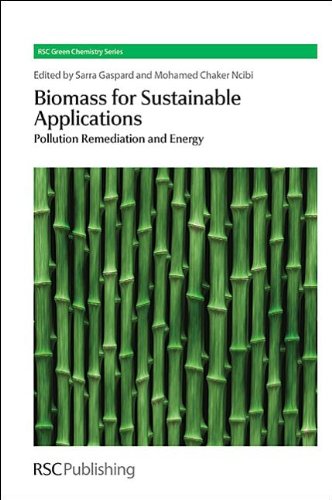 Biomass For Sustainable Applications Pollution Remediation And Energy Sarra Gaspard