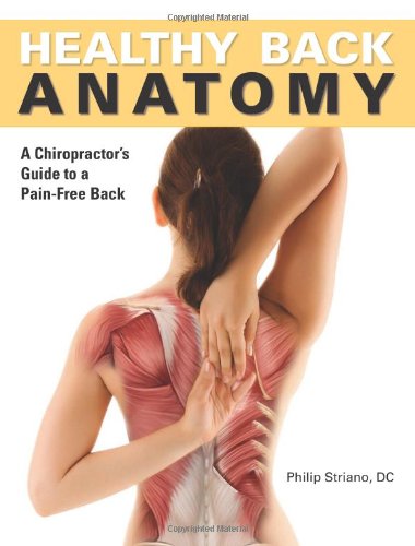 Healthy Back Anatomy 1 Pappstr Philip Striano Dr