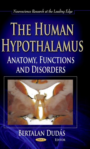 The Human Hypothalamus Anatomy Functions And Disorders 1st Edition Bertalan Dudas