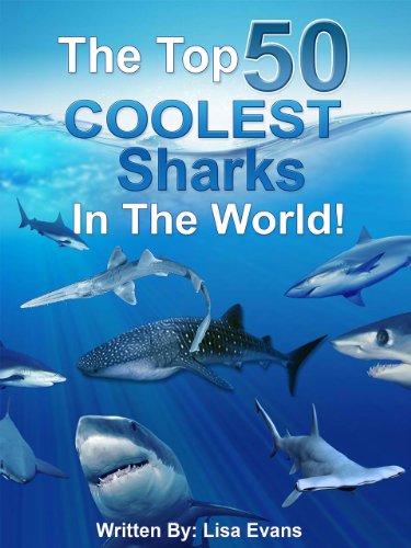 The Top 50 Coolest Sharks In The World Lisa Evans Mike Rogers