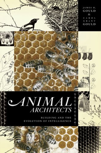 Animal Architects Building And The Evolution Of Intelligence James L Gould