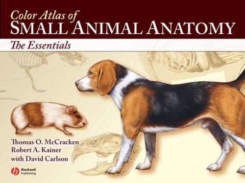 Color Atlas Of Small Animal Anatomy The Essentials 1st Edition Thomas O Mccracken