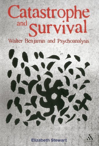 Catastrophe And Survival Walter Benjamin And Psychoanalysis 1st Edition Elizabeth Stewart