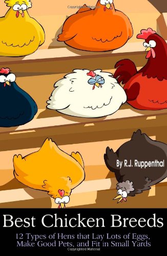 Best Chicken Breeds 12 Types Of Hens That Lay Lots Of Eggs Make Good Pets And Fit In Small Yards Rj Ruppenthal