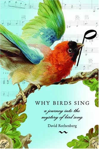Why Birds Sing A Journey Into The Mystery Of Bird Song Export Ed David Rothenberg