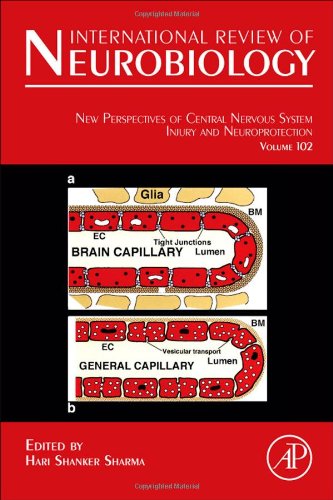 New Perspectives Of Central Nervous System Injury And Neuroprotection 1st Edition Hari Shanker Sharma