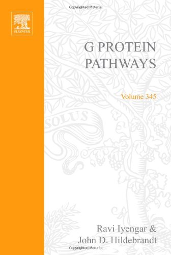 G Protein Pathways Part C Effector Mechanisms 1st Edition Ravi Iyengar