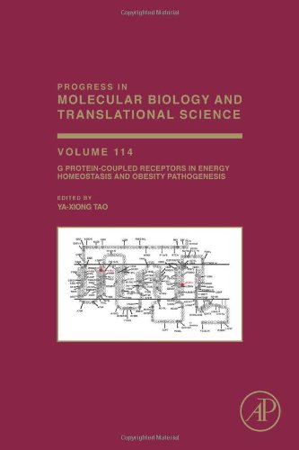 G Proteincoupled Receptors In Energy Homeostasis And Obesity Pathogenesis 1st Edition Yaxiong Tao Eds