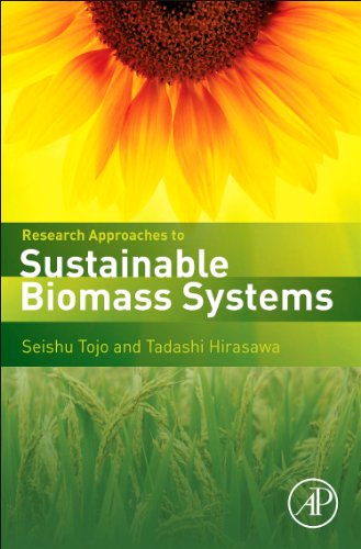 Research Approaches To Sustainable Biomass Systems 1st Edition Seishu Tojo Auth