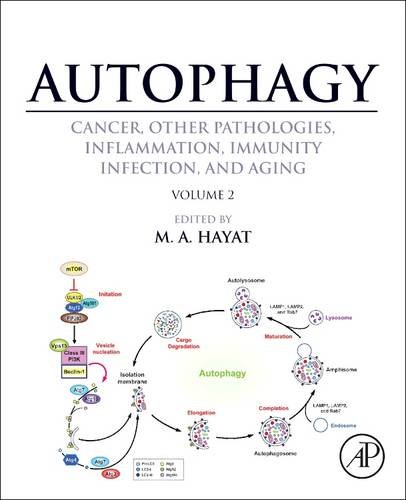 Autophagy Cancer Other Pathologies Inflammation Immunity Infection And Aging Volume 2 Role In General Diseases 1st Edition M A Hayat Eds