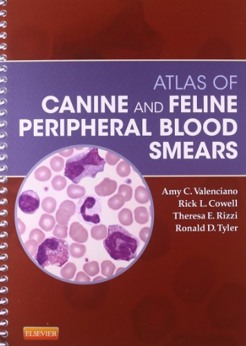 Atlas Of Canine And Feline Peripheral Blood Smears 1 Spi Amy C Valenciano