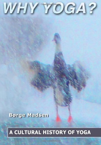 Why Yoga A Cultural History Of Yoga 1st Edition Børge Madsen