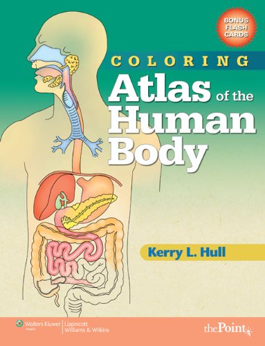 Coloring Atlas Of The Human Body 1st Edition Kerry L Hull
